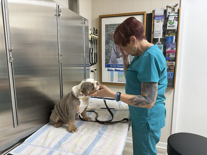 Veterinary Medical Hospital Of Clearwater