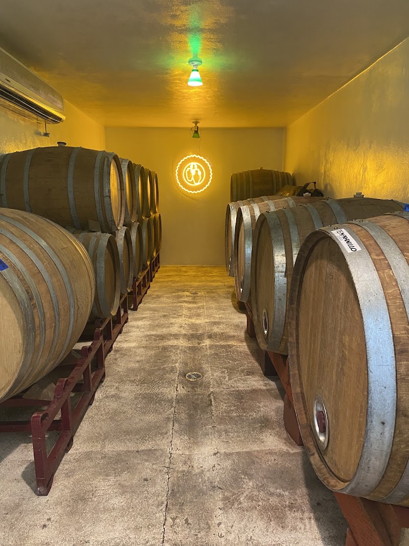 Viñedo Las Tinajas - Vineyard in KM 50. Todos Santos
