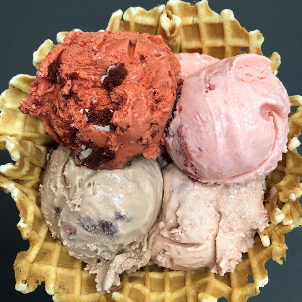 Tipsy Cow Ice Cream - Ice cream shop in New Braunfels