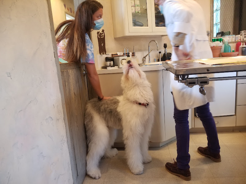 Gentle Care Animal Hospital