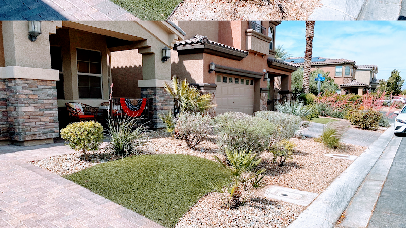 New horizon landscapes