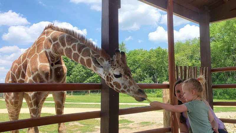 Safari Lake Geneva | Online Reservations Required - Wildlife and safari park in Lake Geneva