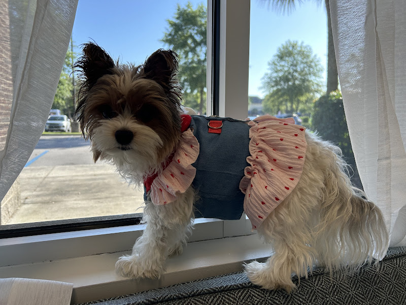 Bayside Veterinary Clinic