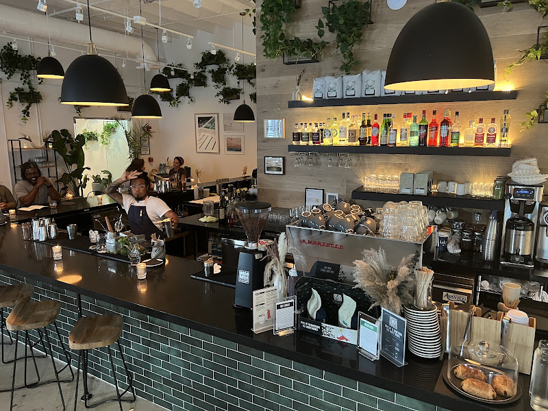 Isla & Co. West Palm Beach - Bar in West Palm Beach