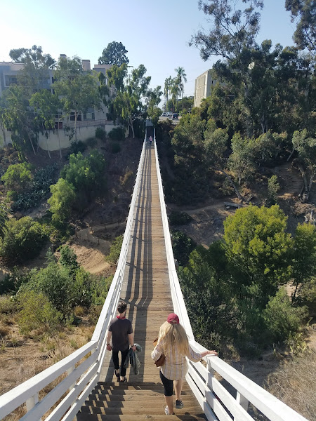 Spruce Street Suspension Bridge