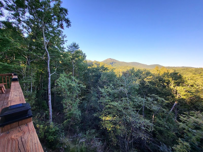 Auntie Belham's Cabin Rentals photo