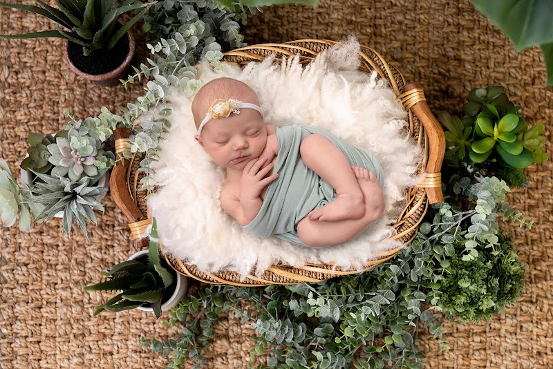 Lisa Clark Photography, Inc photo