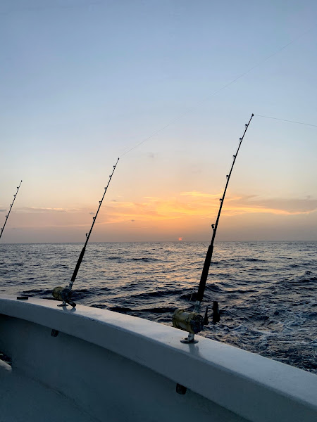 Intimidator Sportfishing Inc. - Fishing charter in Orange Beach